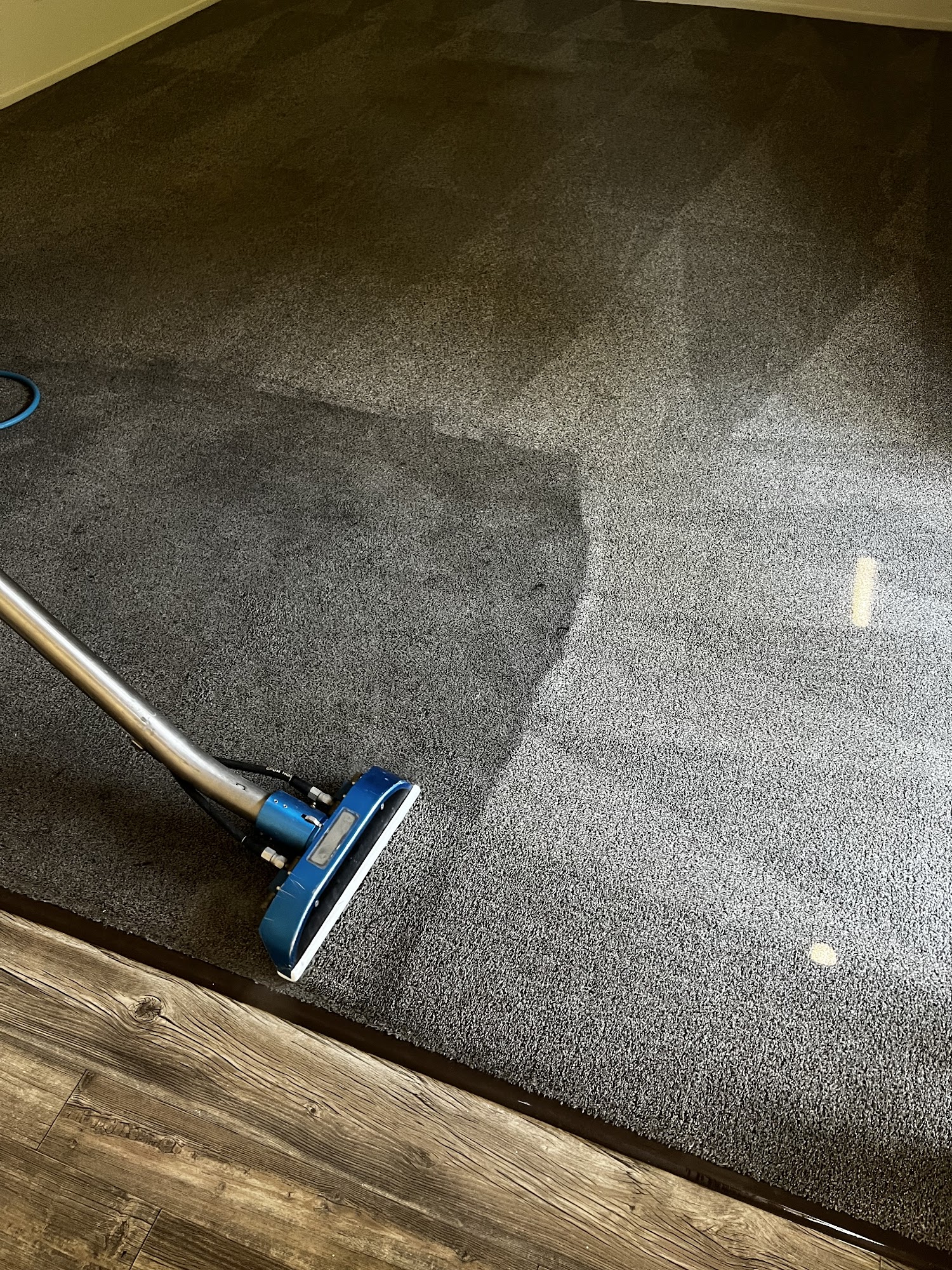 Master carpet cleaning