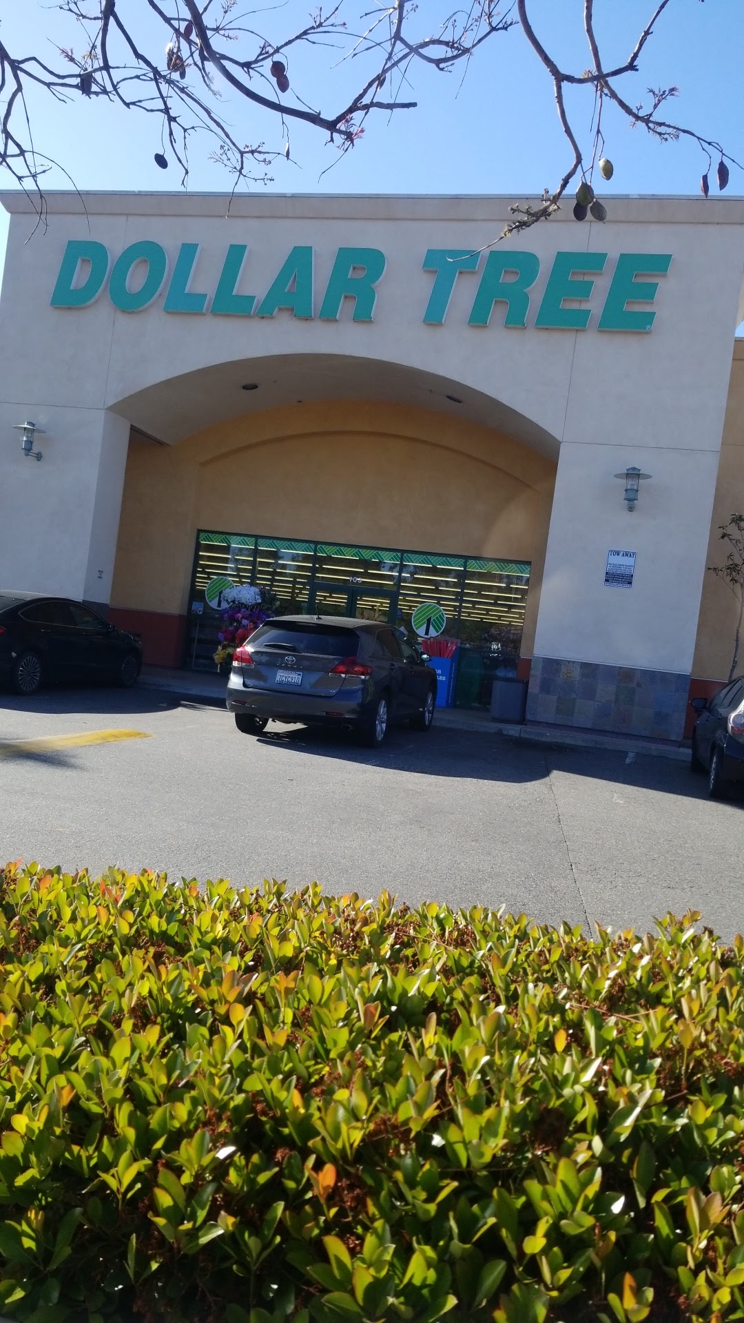 Dollar Tree