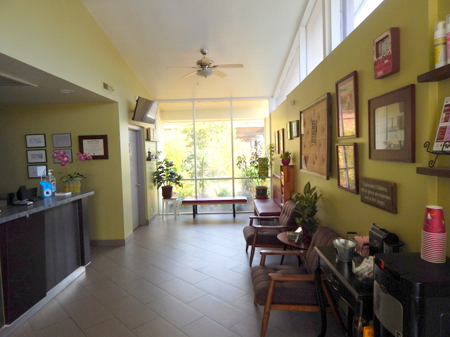 Dr. Kraemer Vet4Bulldog Orange