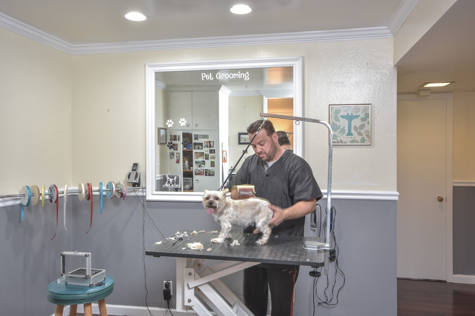 John's Pet Grooming Orangevale