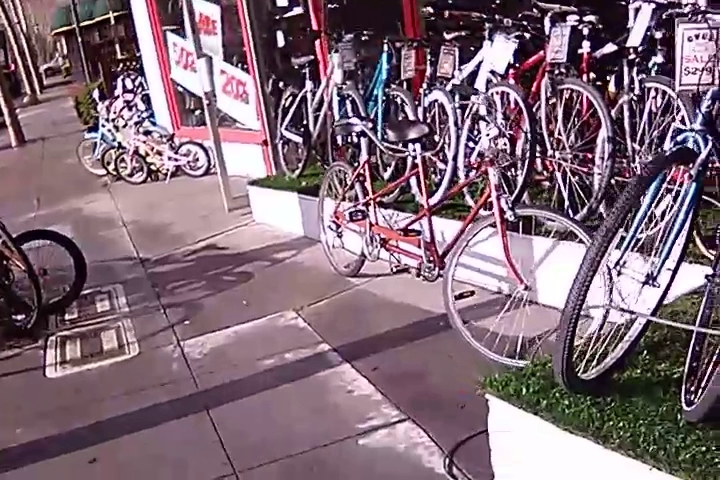 Cardinal Bike Shop