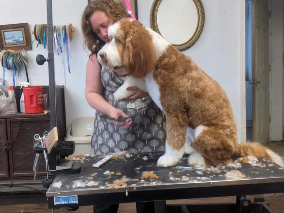 Grooming Unlimited Palo Cedro