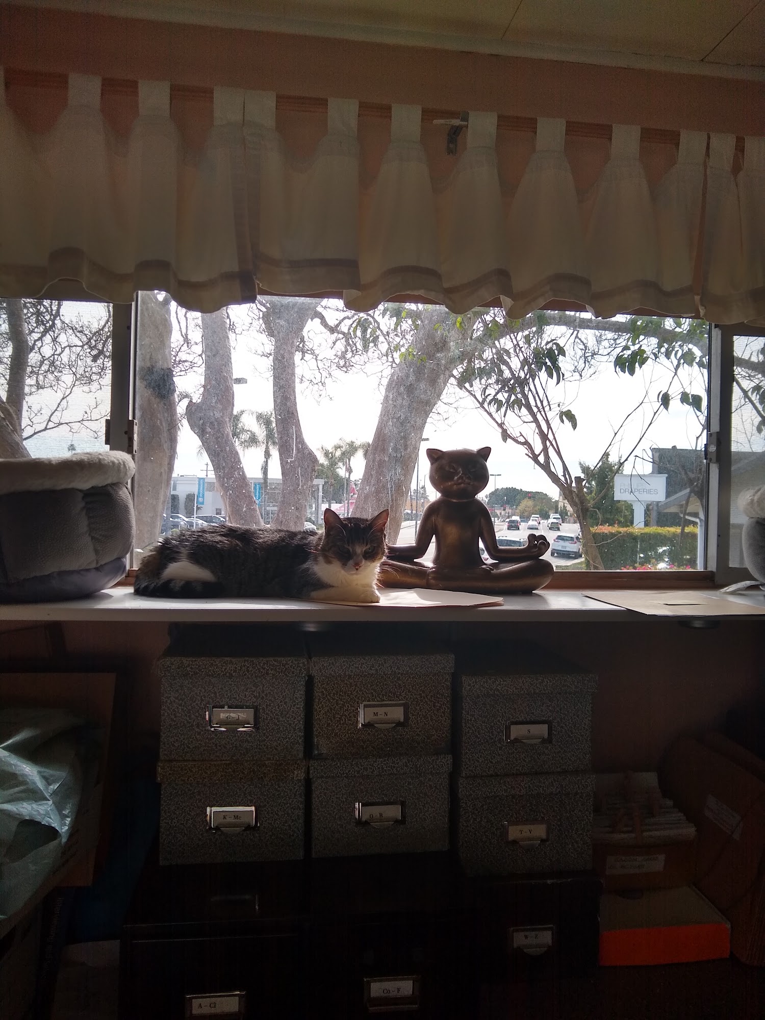 Cat's Pajamas Pasadena