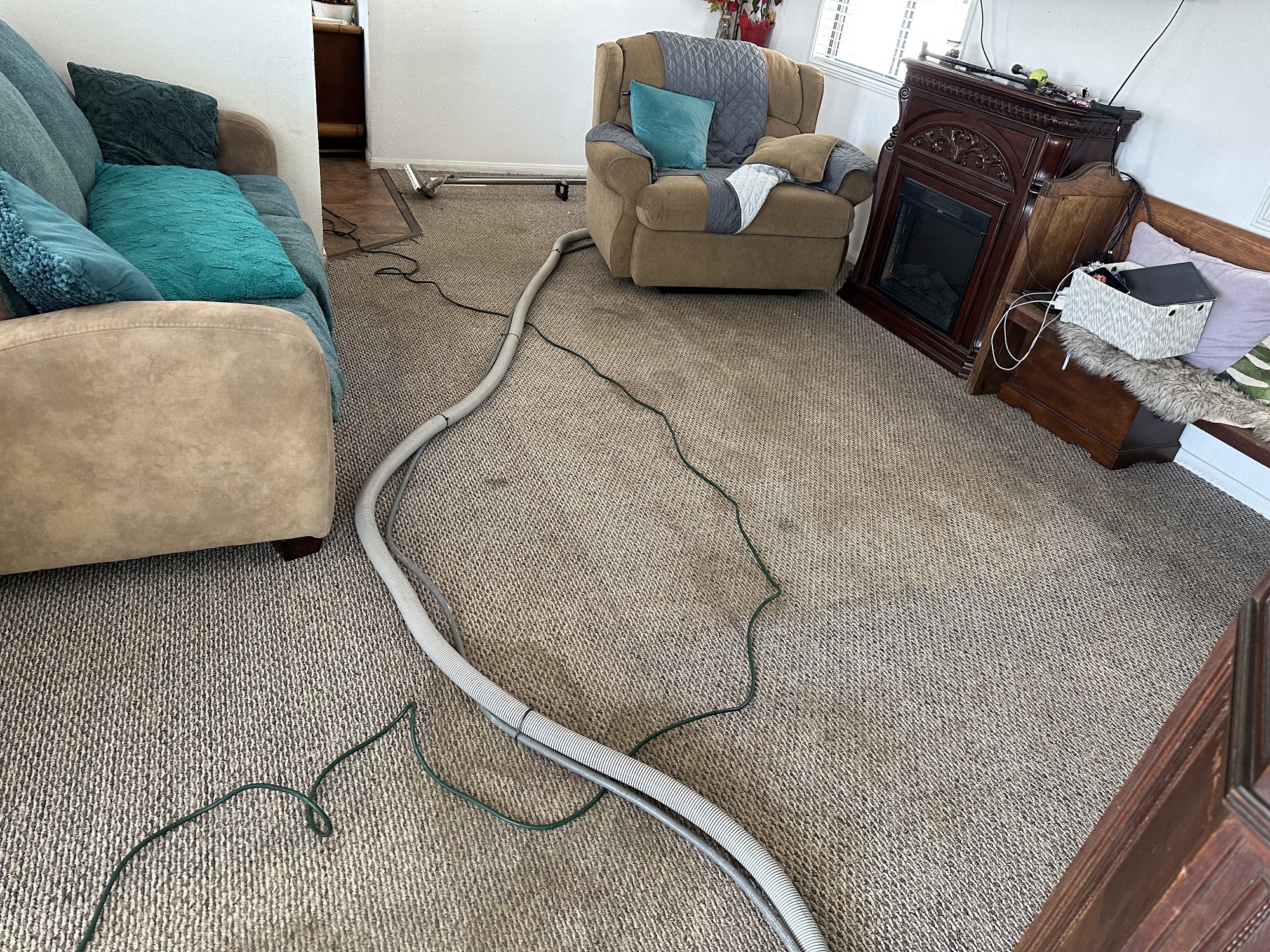 ProClean Steam Carpet Cleaning