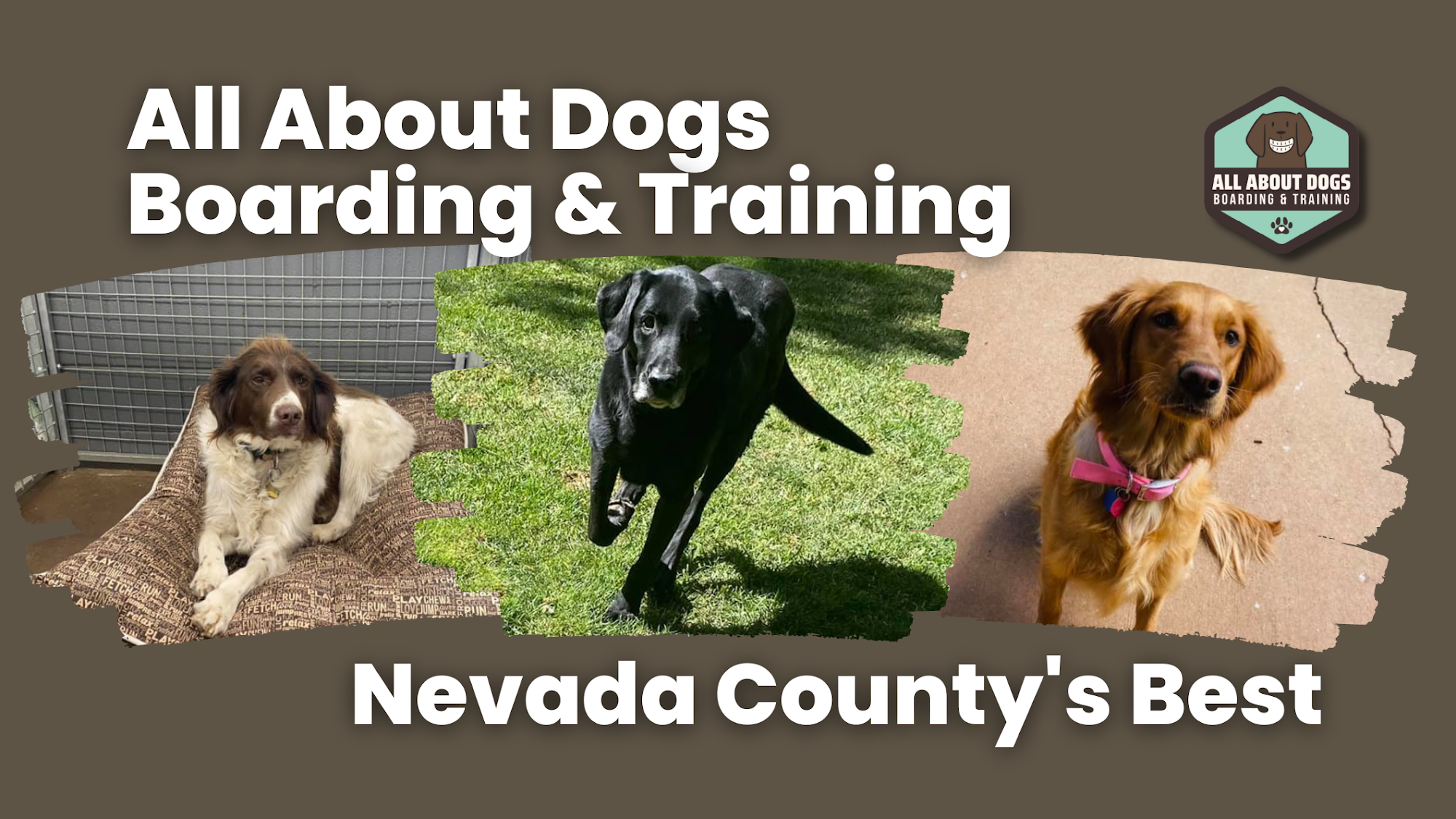 All About Dogs Boarding and Training (Formerly S&S Dog Boarding) 14254 Oak Ridge Rd, Penn Valley California 95946