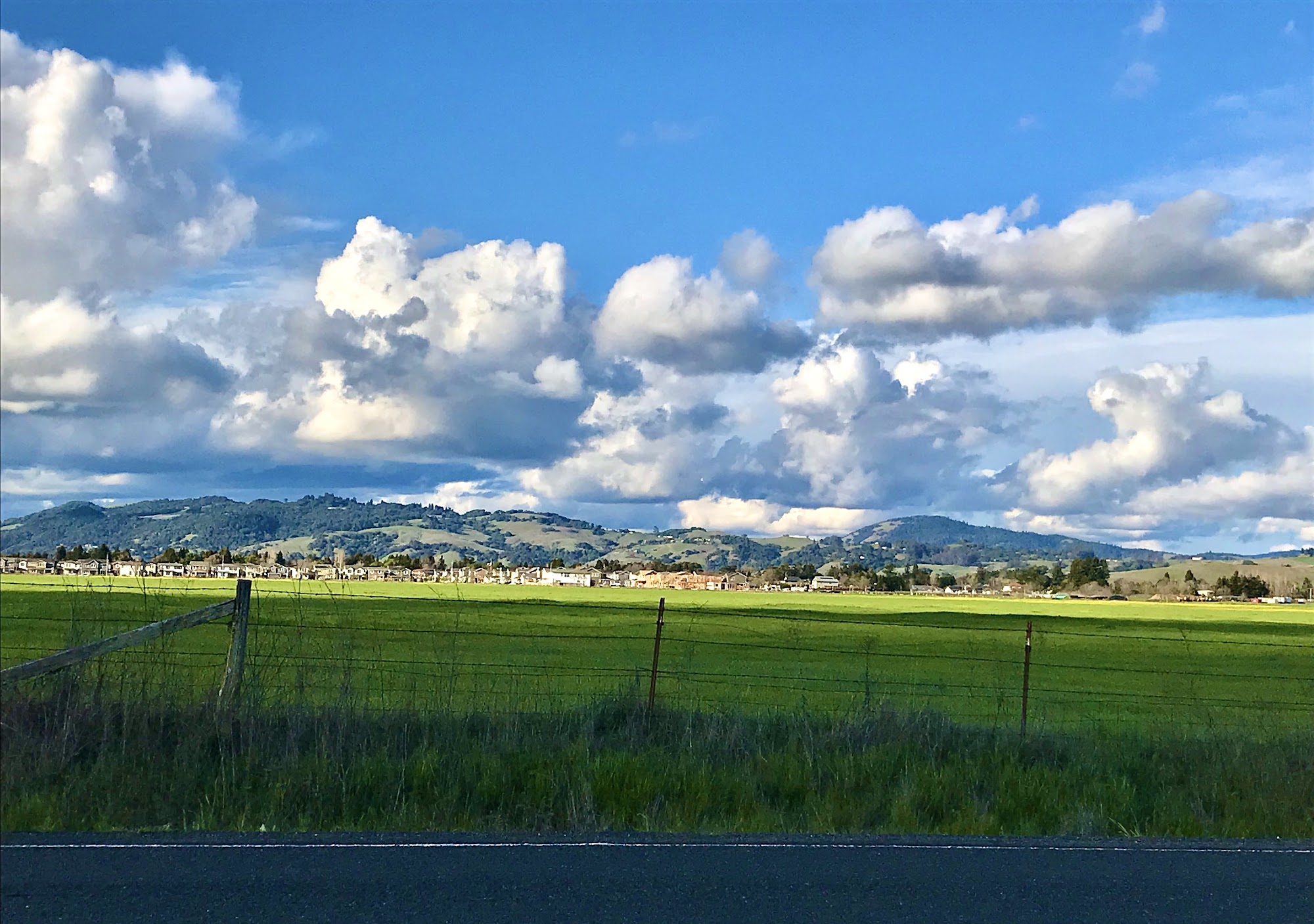 Sonoma Mountain Landscape