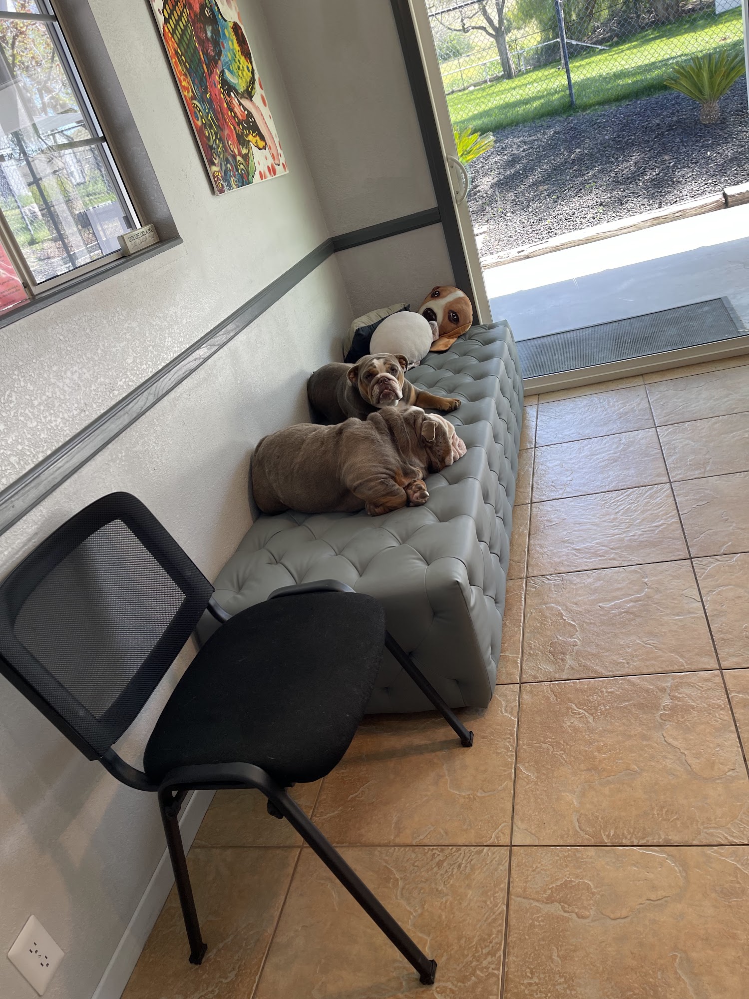 K-9 Companions Perris