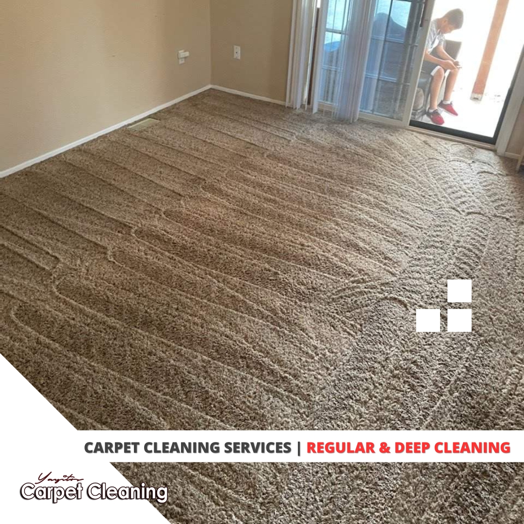 Yayitos carpet cleaning