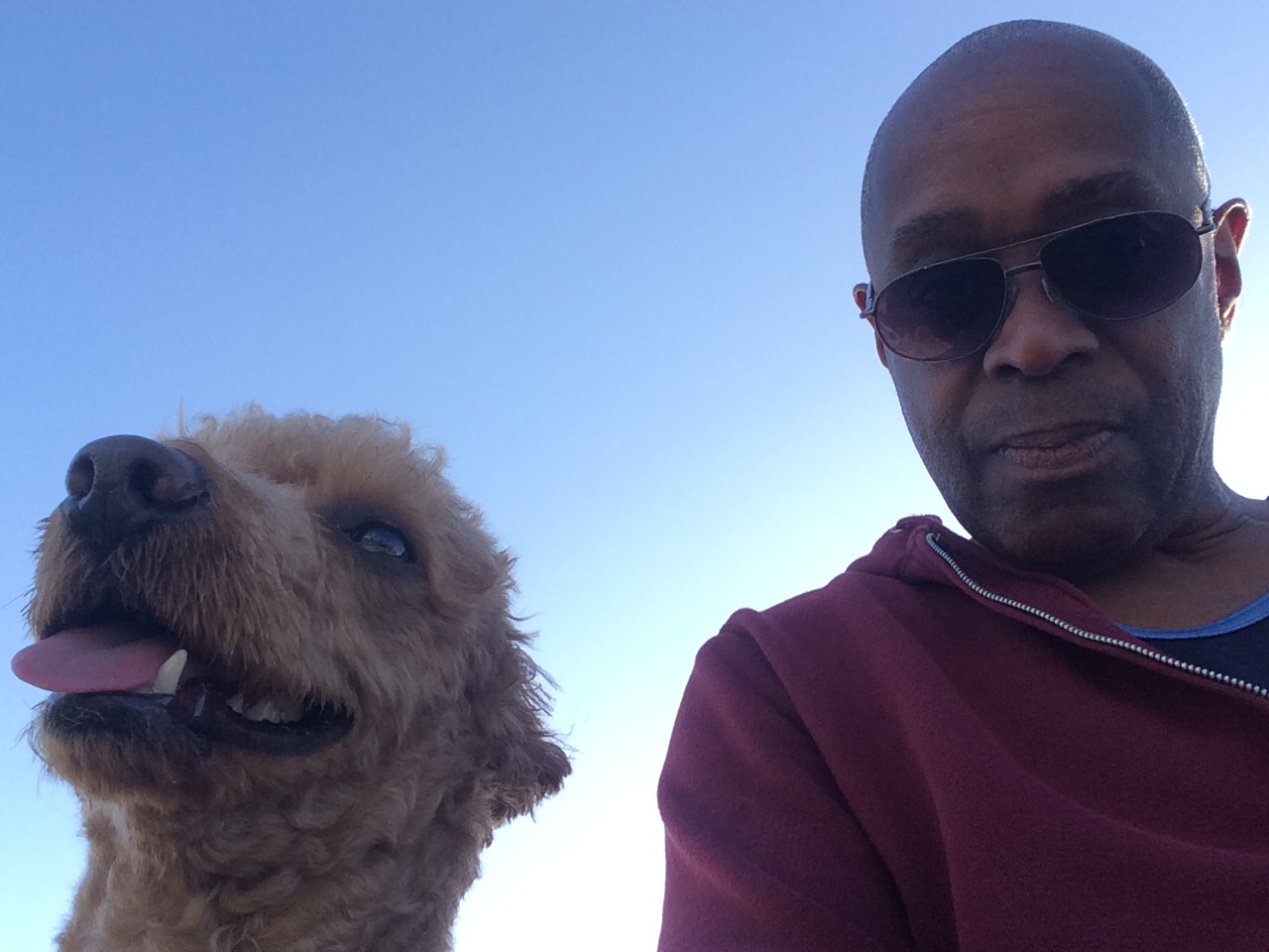 Seaside Grooming Playa del Rey