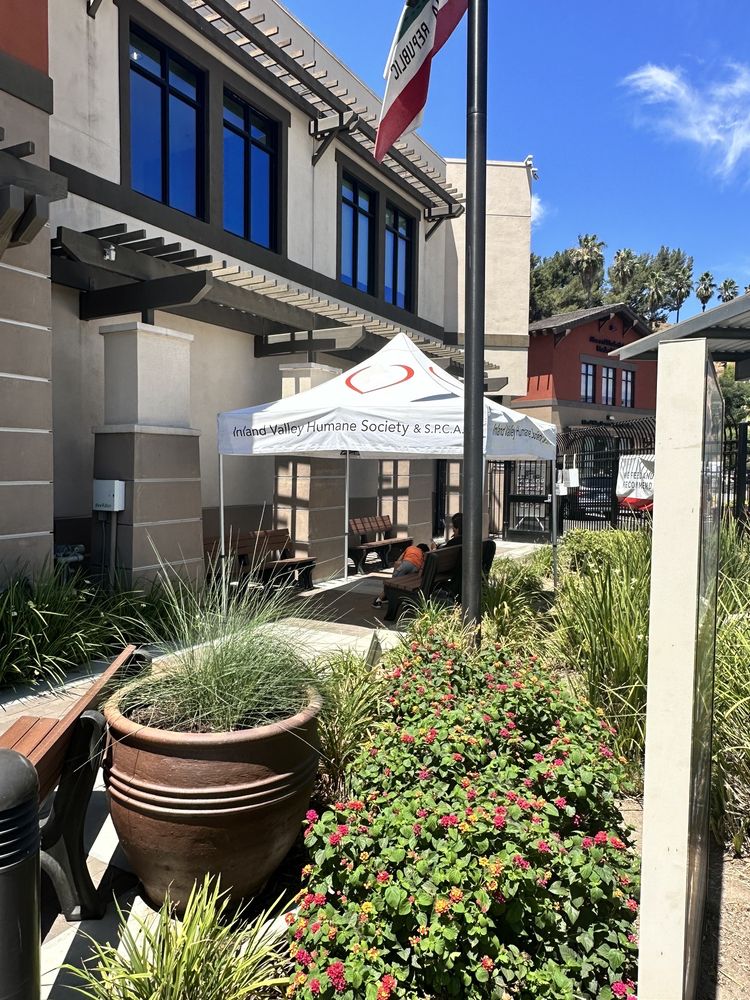 Inland Valley Humane Society and S.P.C.A. Pomona