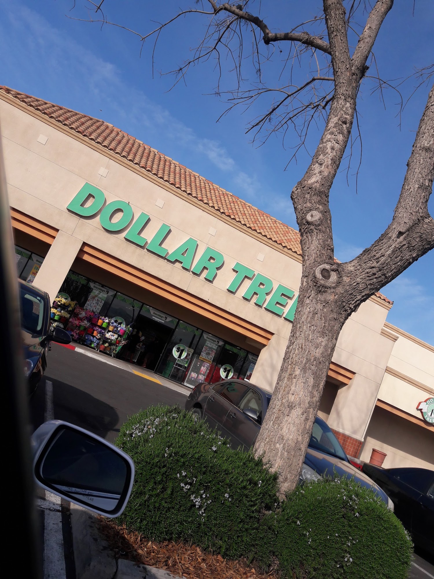 Dollar Tree