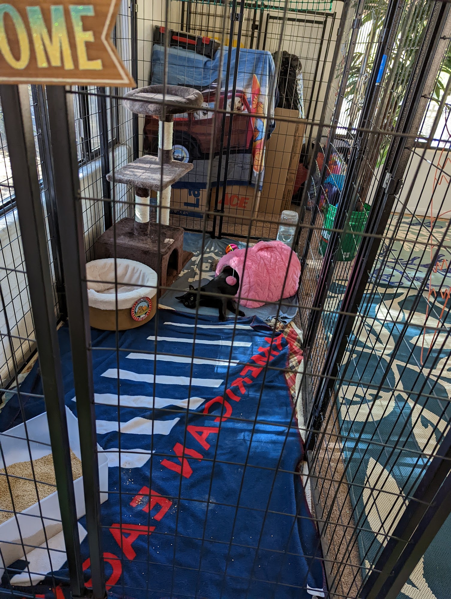 Kritter Kamp Dog & Cat Boarding and Post-Surgical Recovery - Ramona Ca Ramona