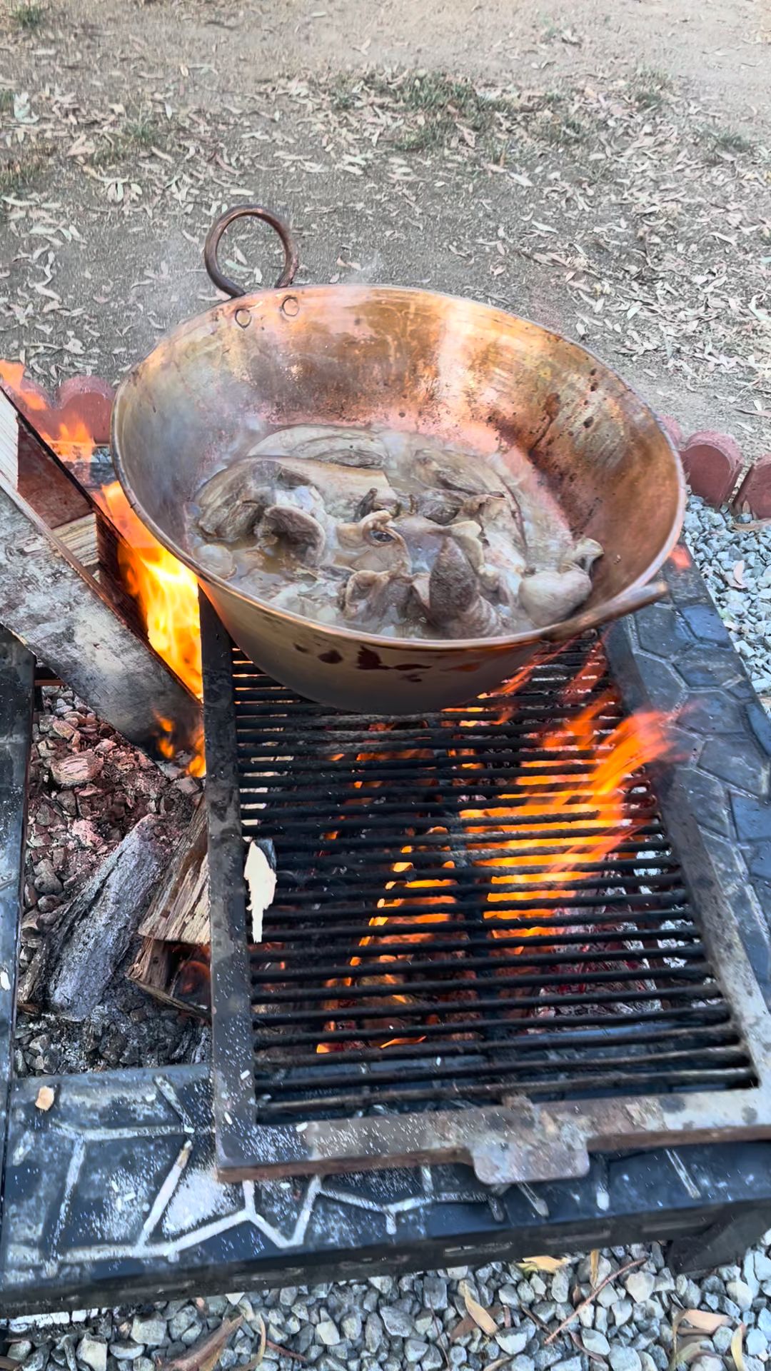 Phoenix Pet Center Ramona