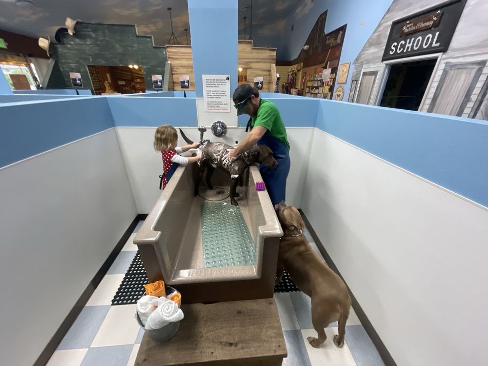 Pet Town Self Serve Pet Wash & Supply