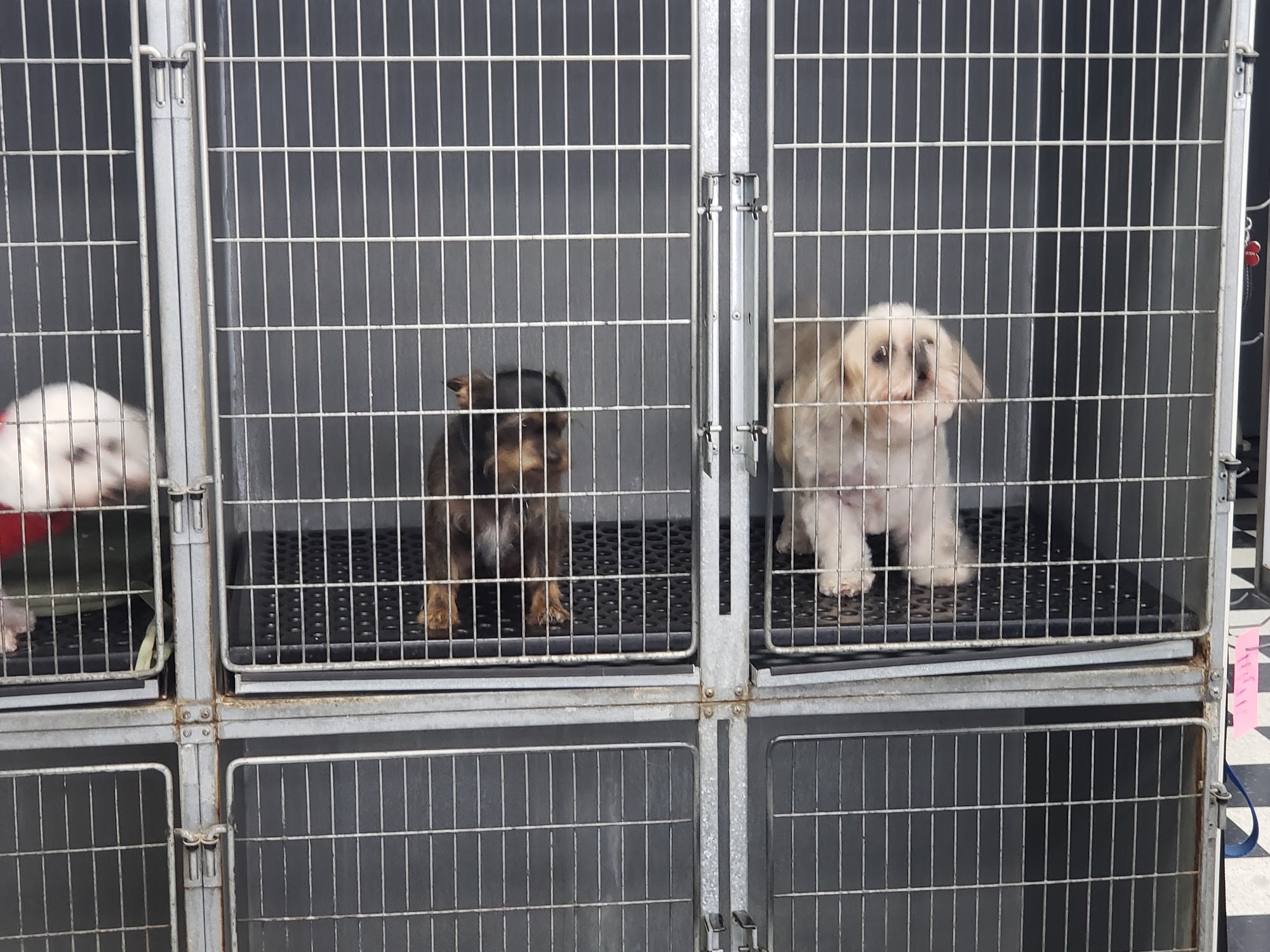 Erica's Critter Cutters Riverside