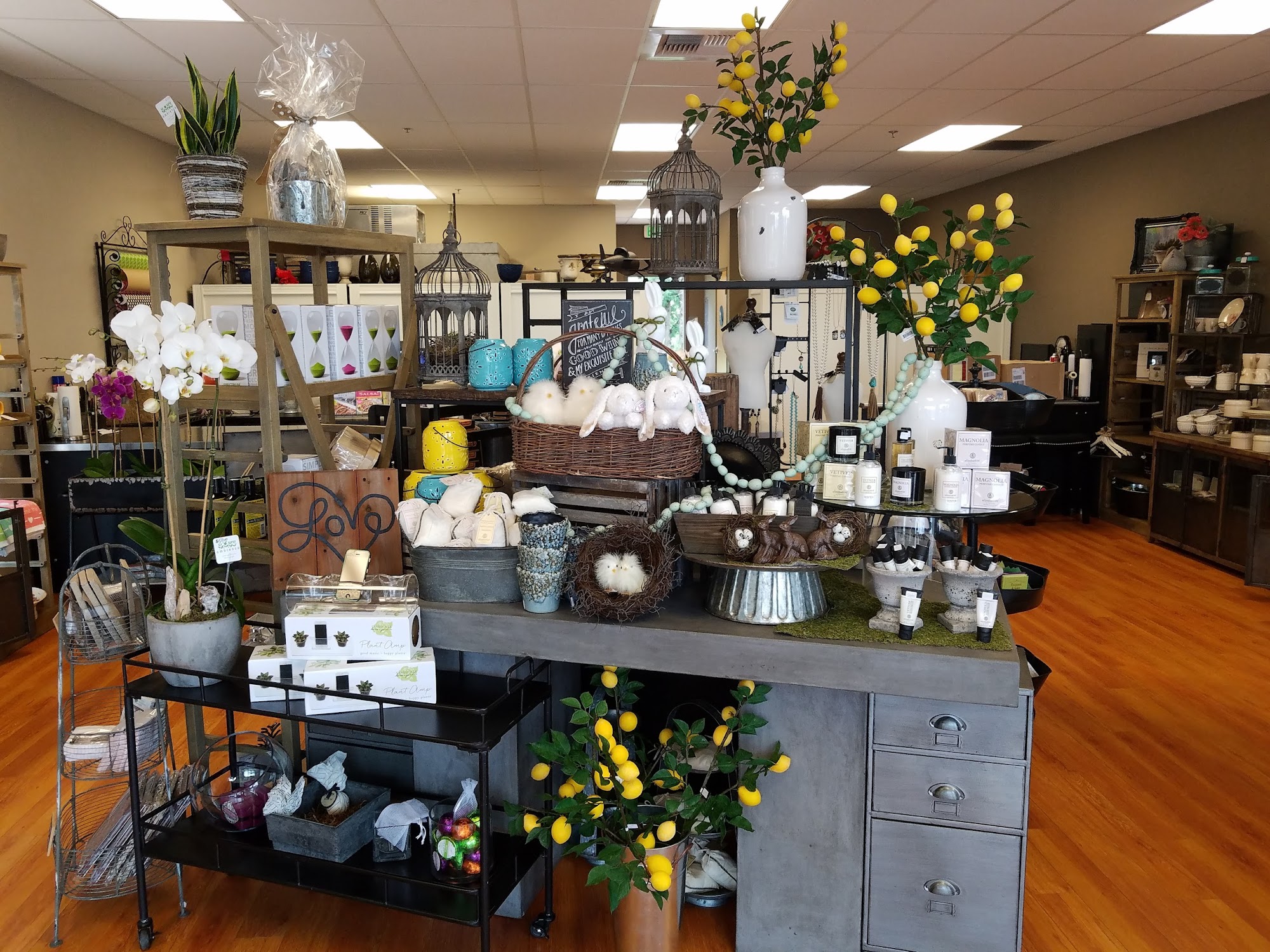 Ambience Floral Design & Gifts