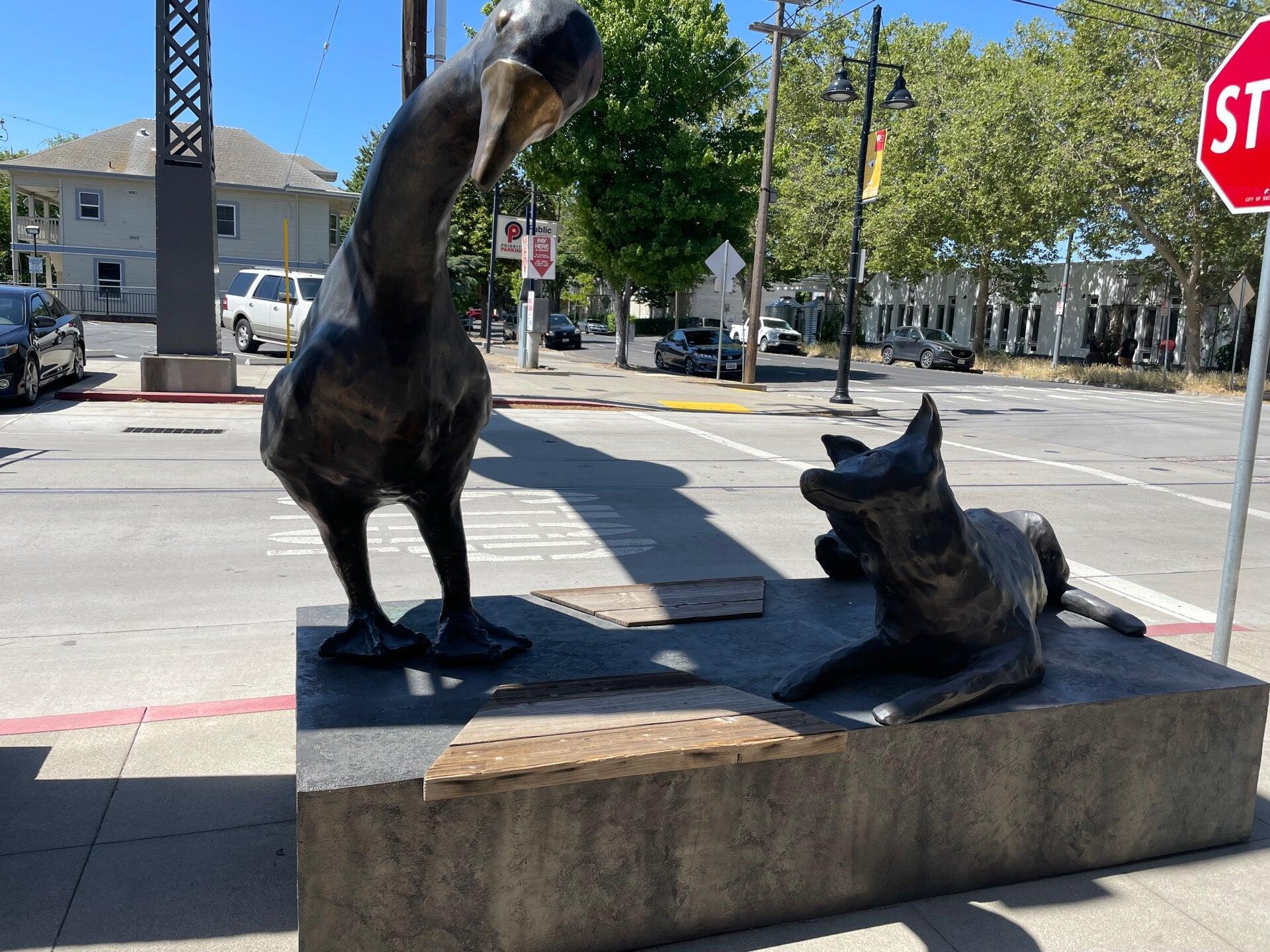 Photo credit: nextdoor
