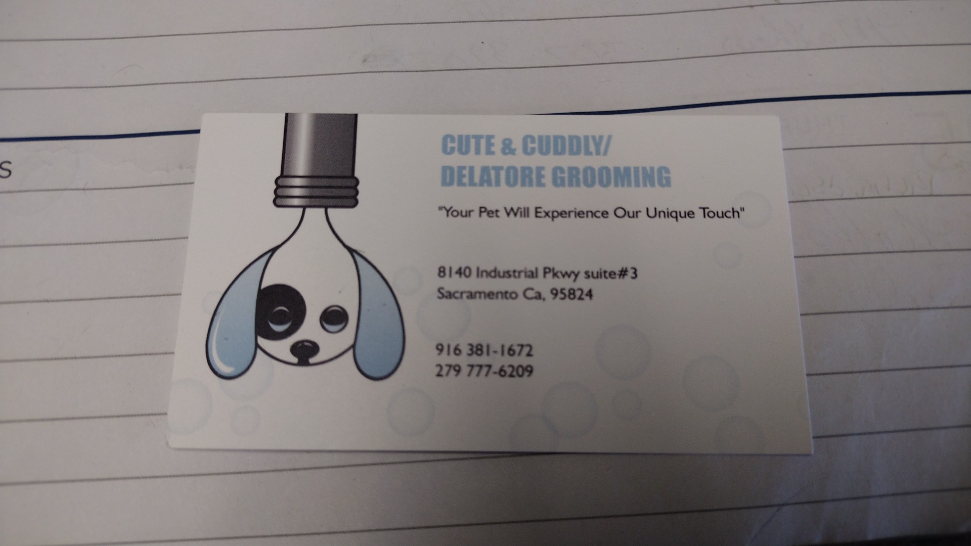 Cute & Cuddly Grooming Sacramento