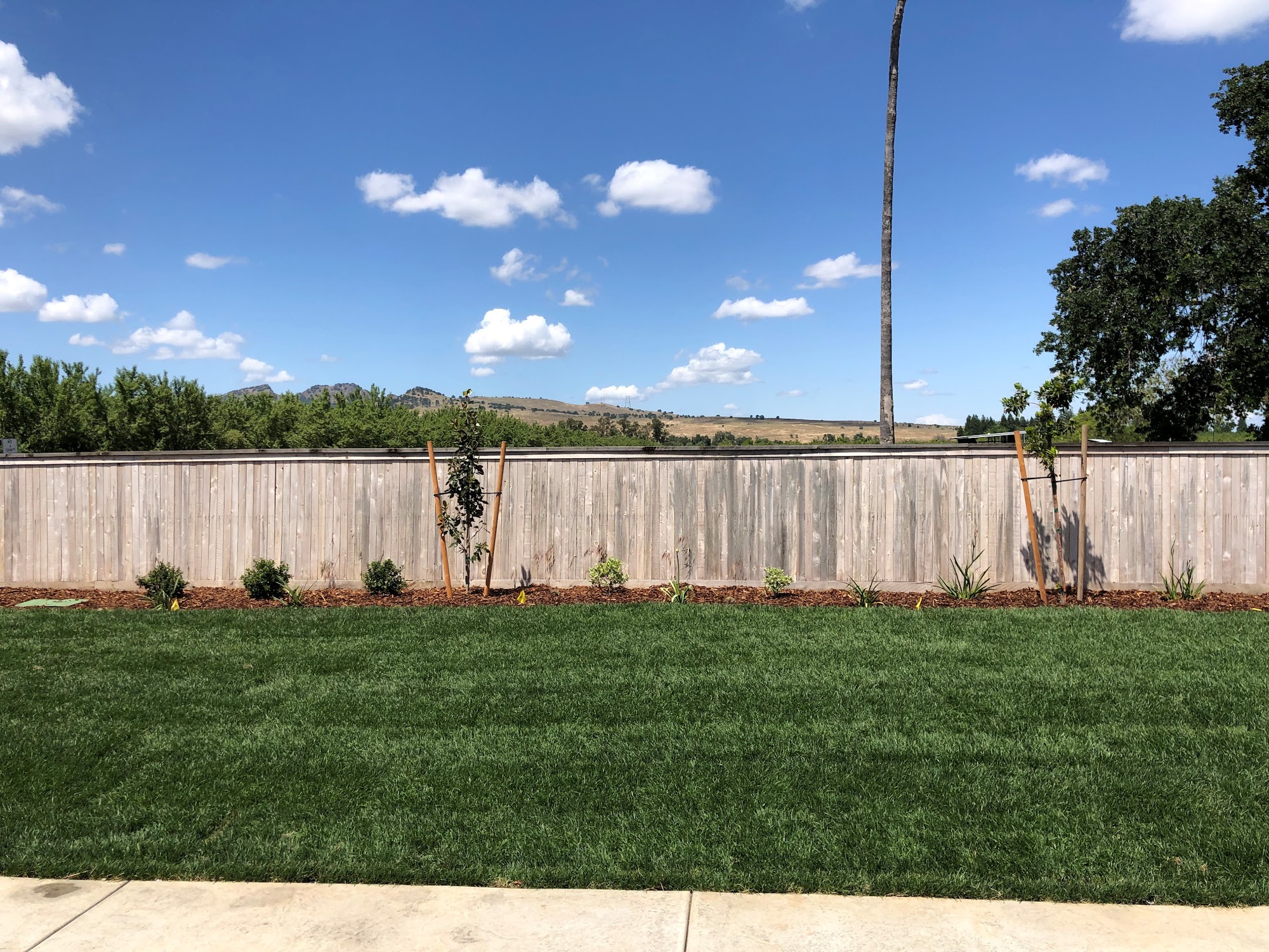 Palisade Fence Company, Inc.