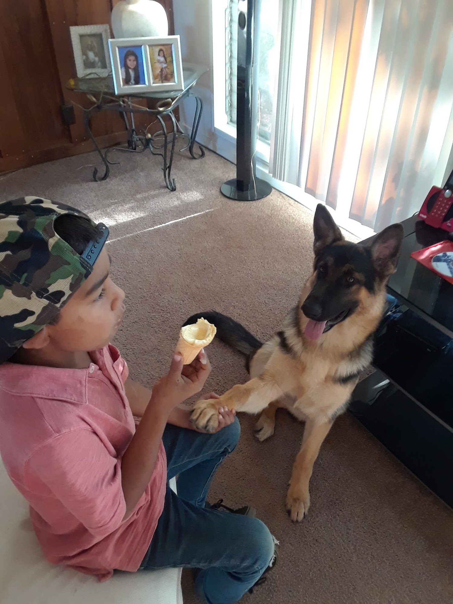 We Care Animal Rescue Saint Helena