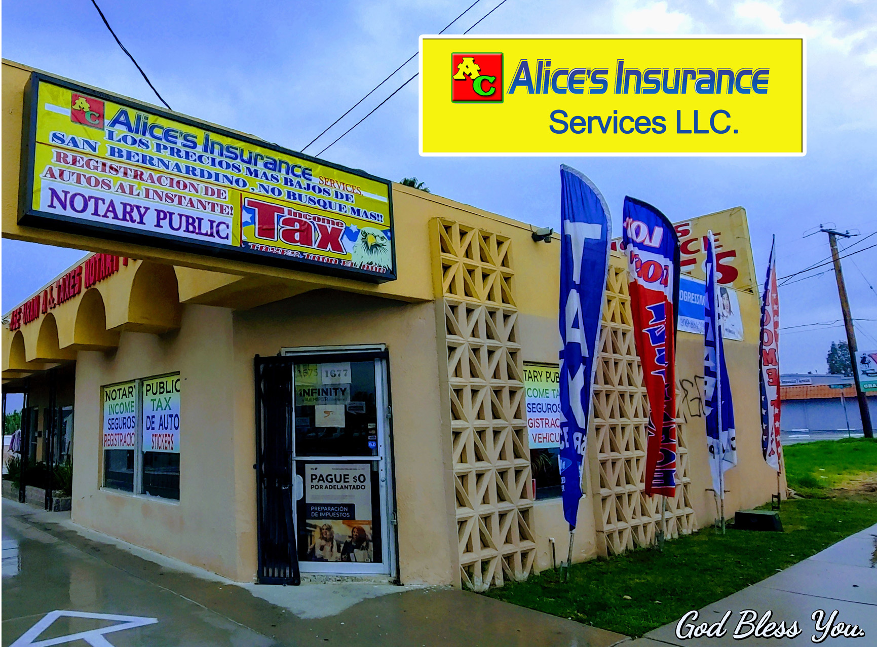 ALICIA PENA INCOME TAX