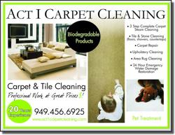 ACT I CARPET & TILE CLEANING