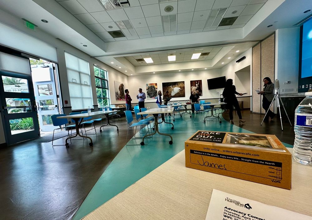 San Diego Humane Society San Diego