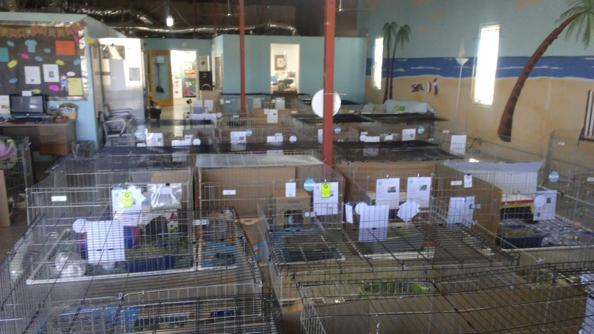 San Diego House Rabbit Society San Diego