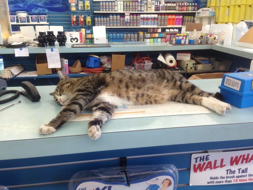Photo credit: nextdoor