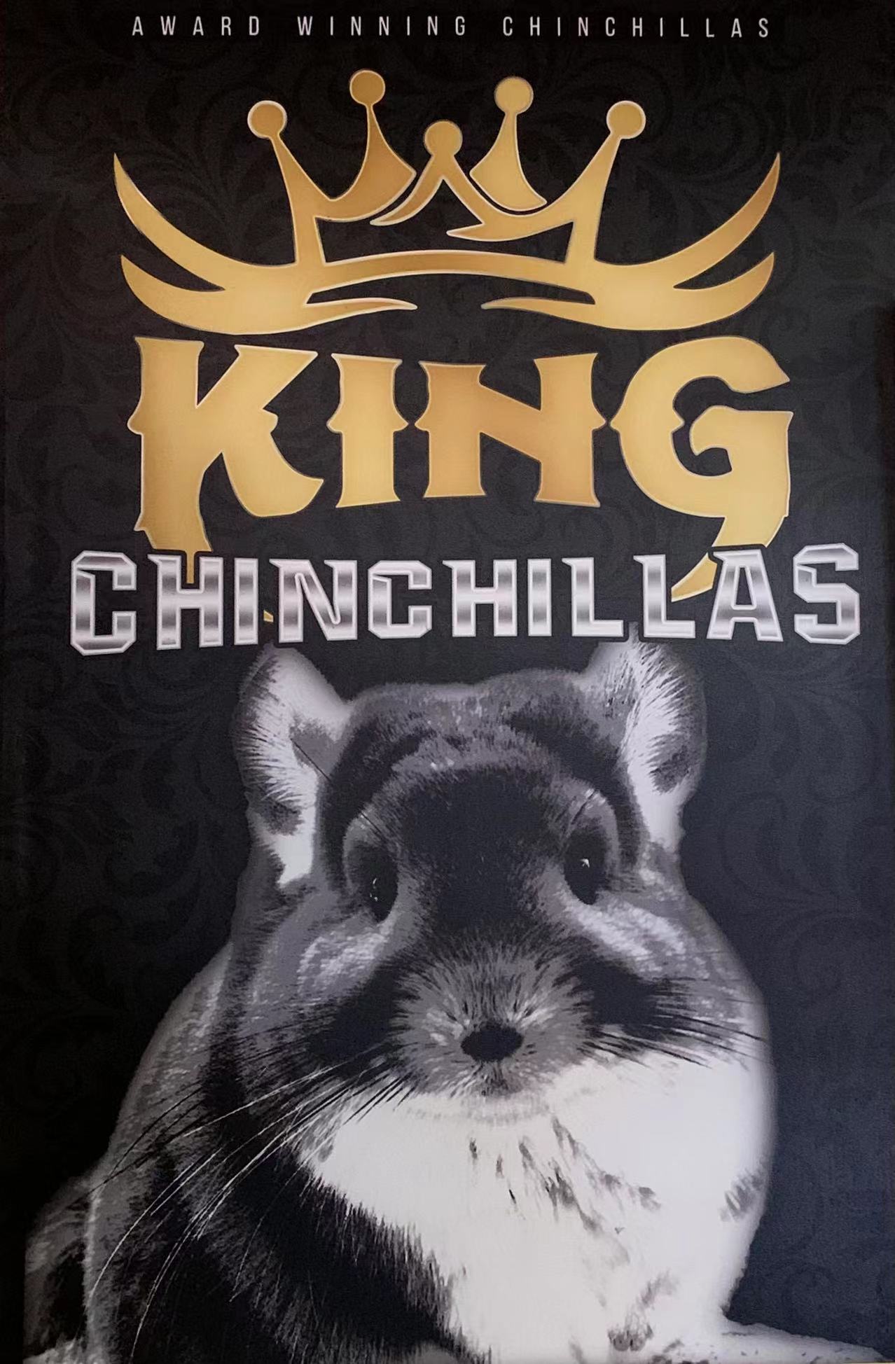 KING CHINCHILLA