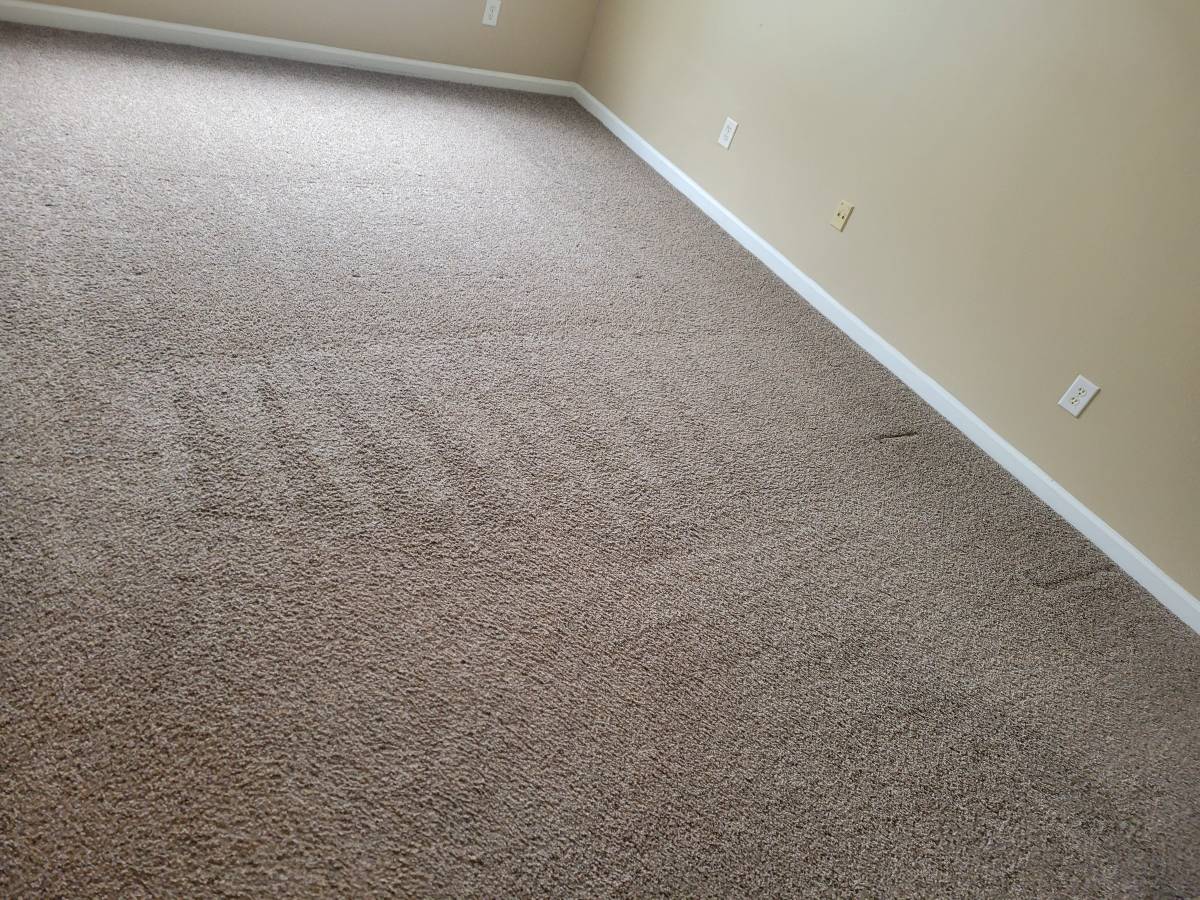 Greyhound Carpet cleaning services