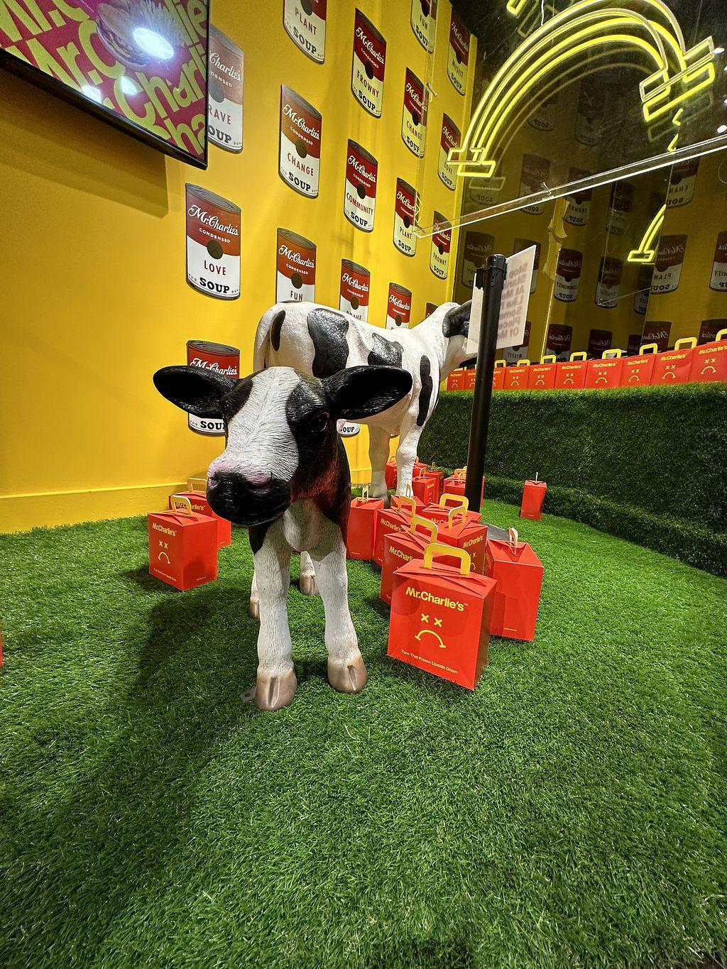 Photo credit: happycow