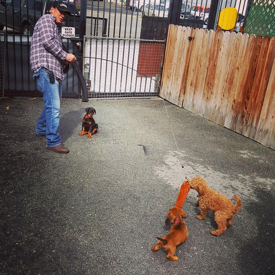 Photo credit: nextdoor