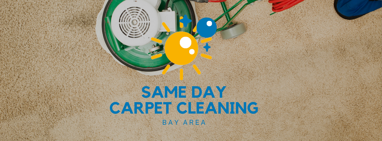 SAME DAY CARPET CLEANING BAY AREA