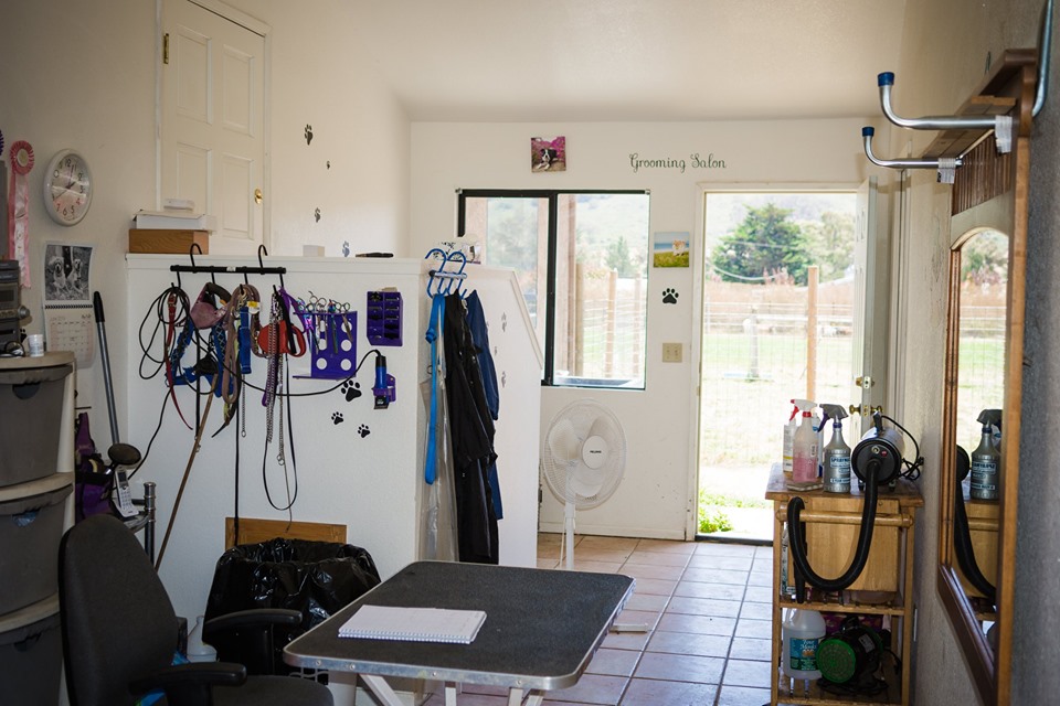 All About Dogs San Luis Obispo