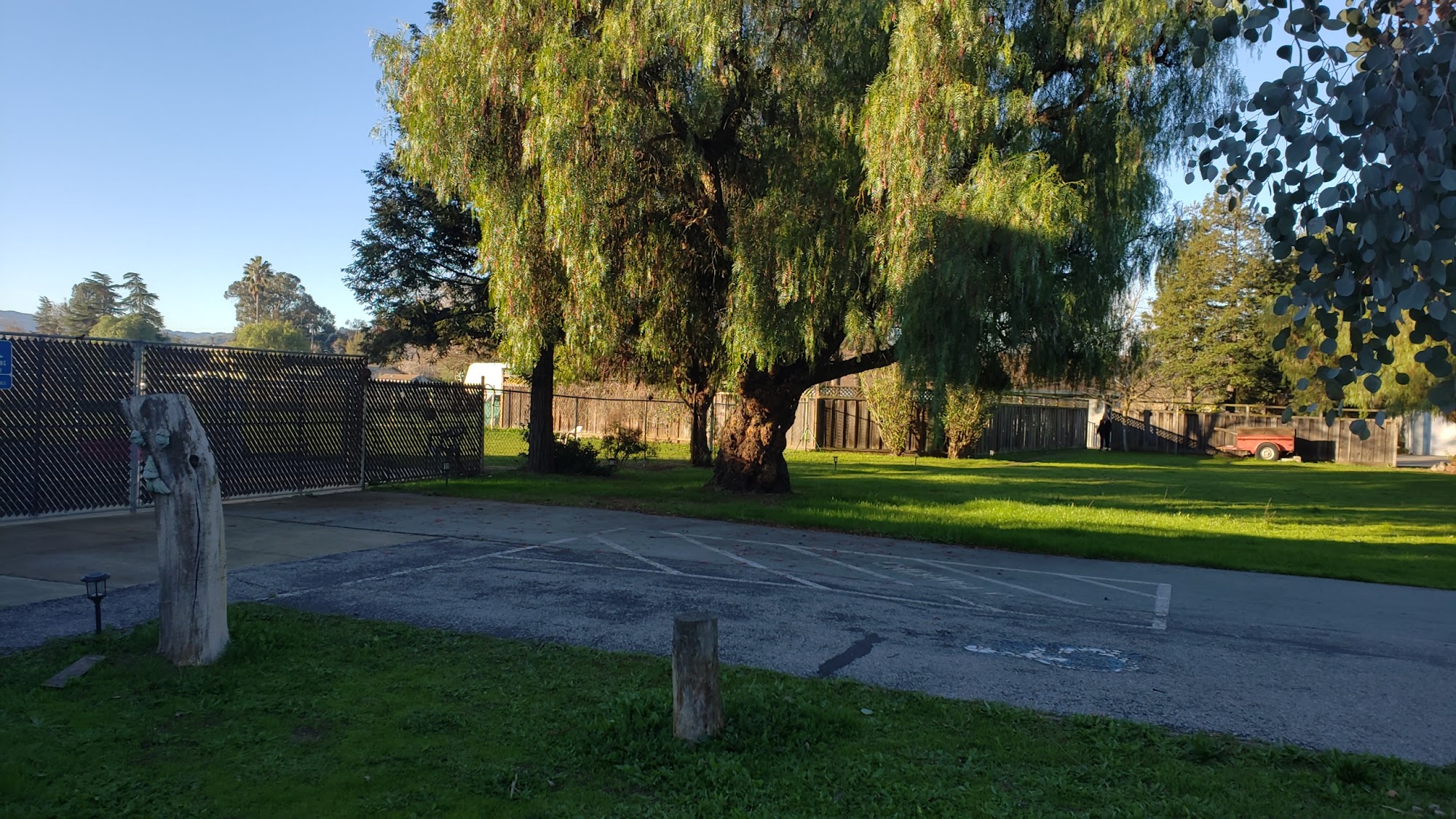 A Poochs' Paradise San Martin