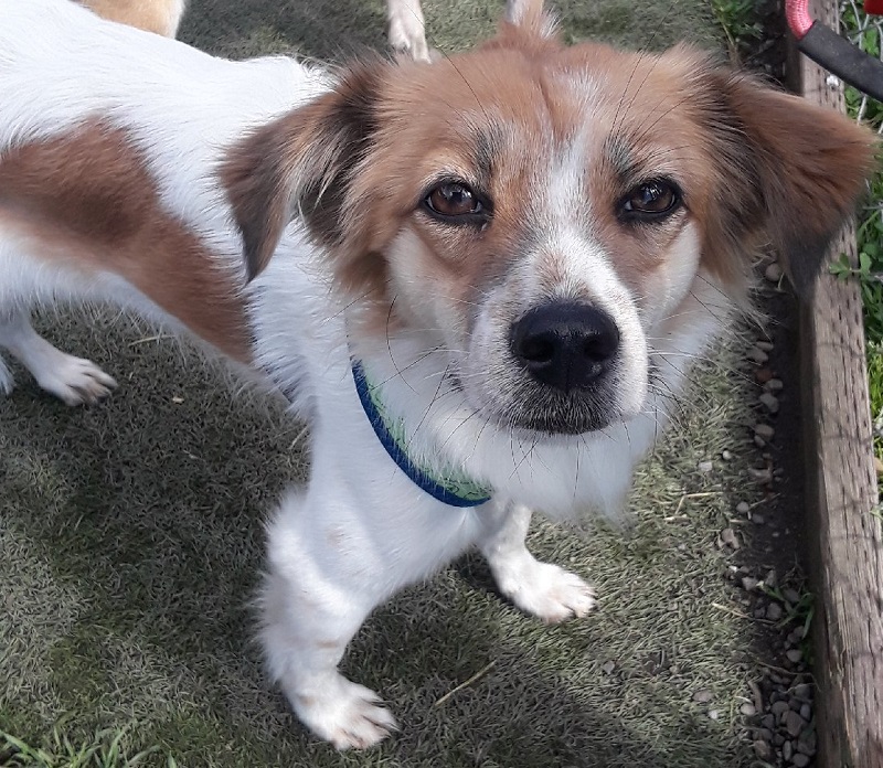 Jelly's Place San Pablo