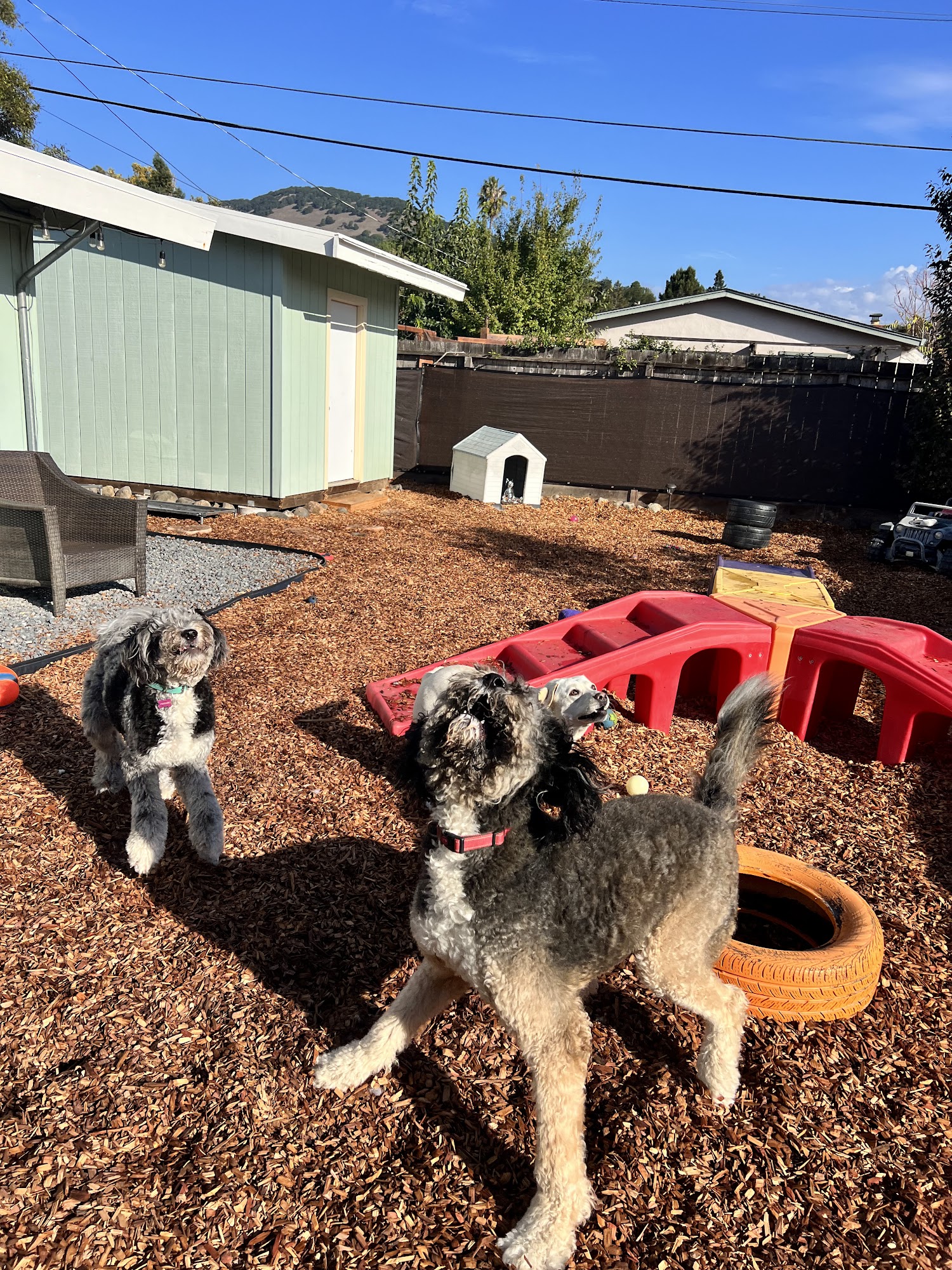 Marin Pet Care Pros LLC San Rafael