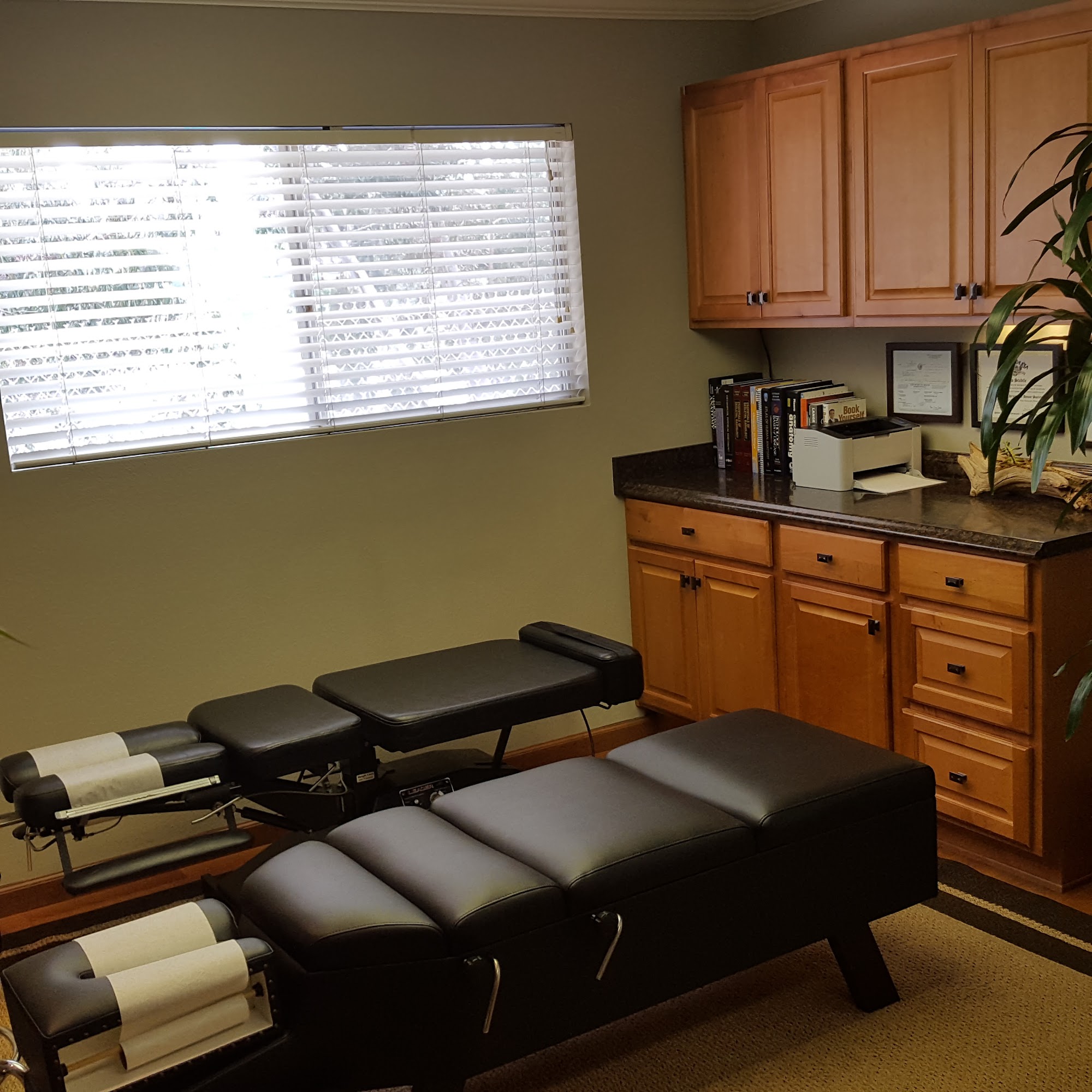 Stabilized Chiropractic
