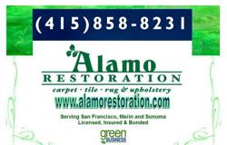Alamo Restoration Carpet & Tile Cleaning