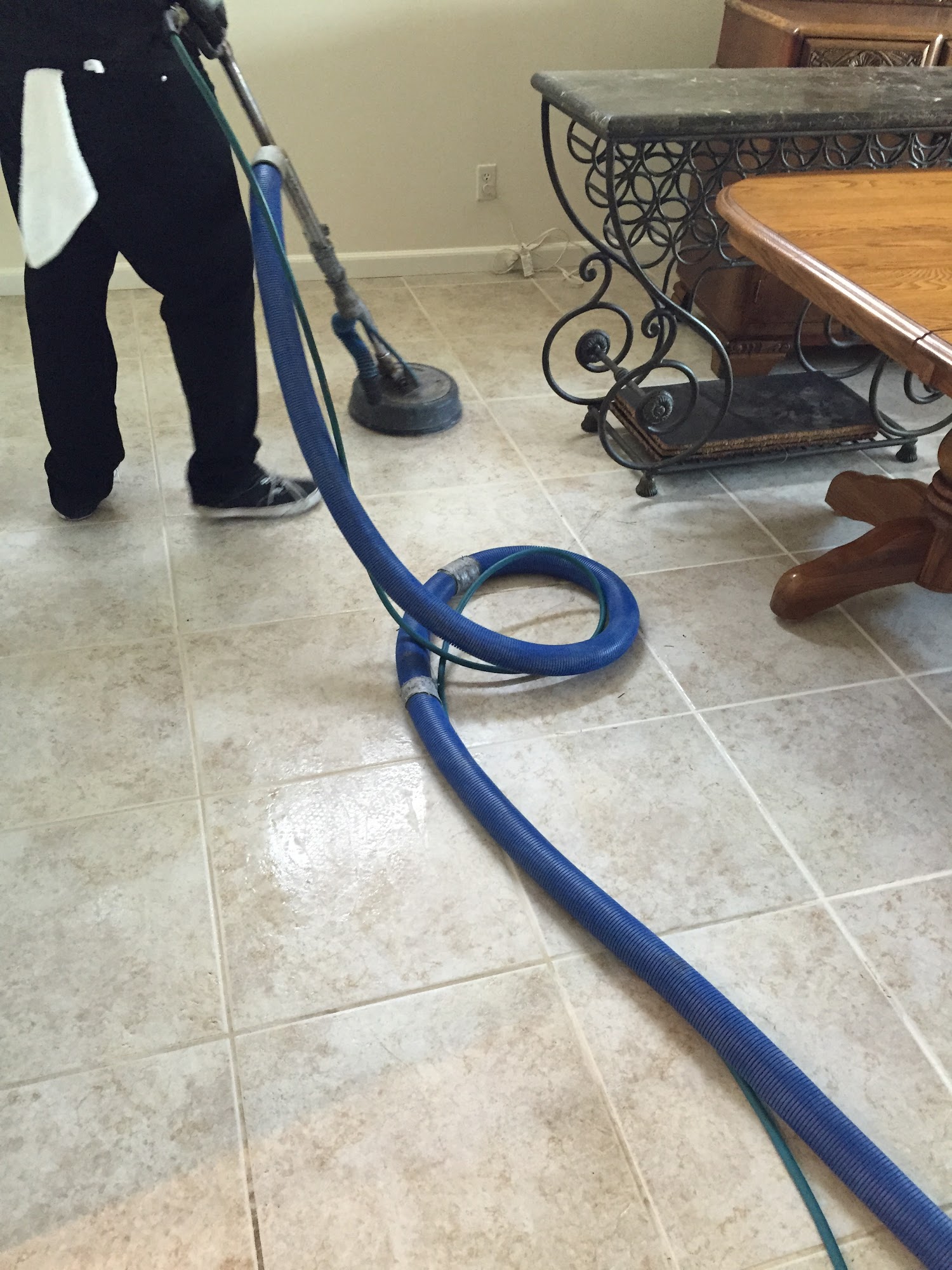 Rigos carpet care