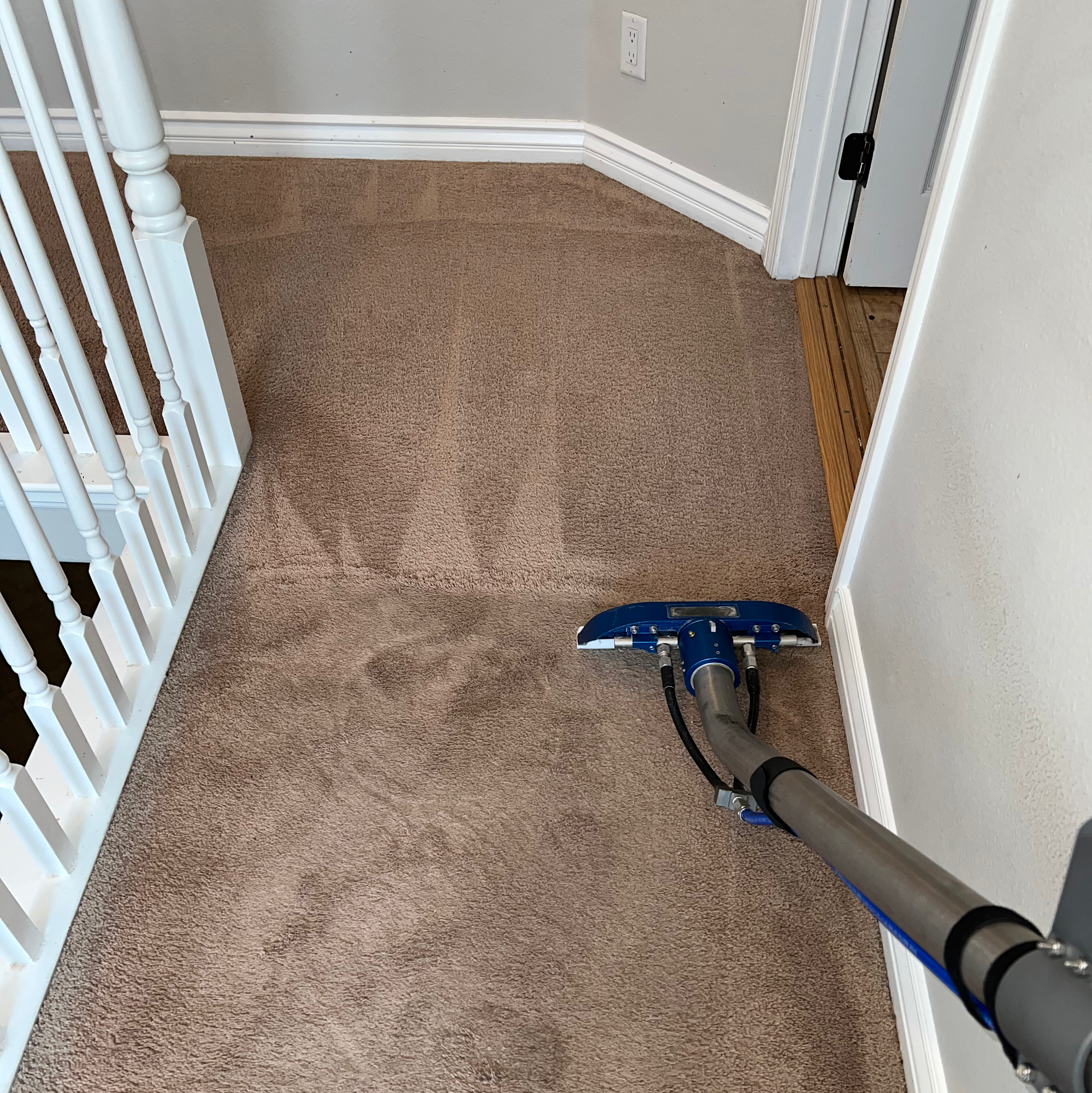 Pristine Carpet Cleaning