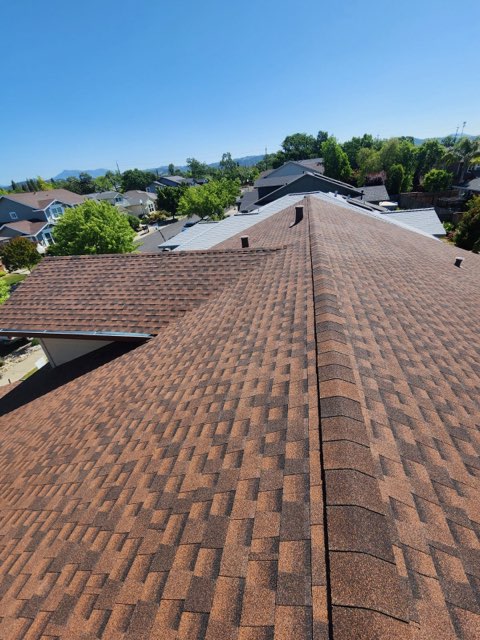 Stephen Curley Roofing