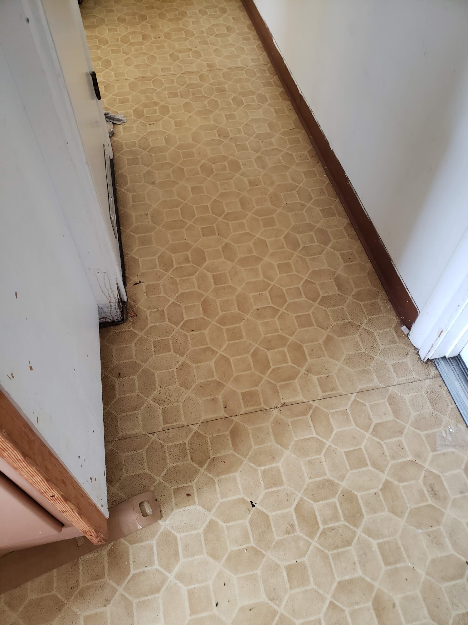 Premier Carpet Cleaning & Duct Cleaning