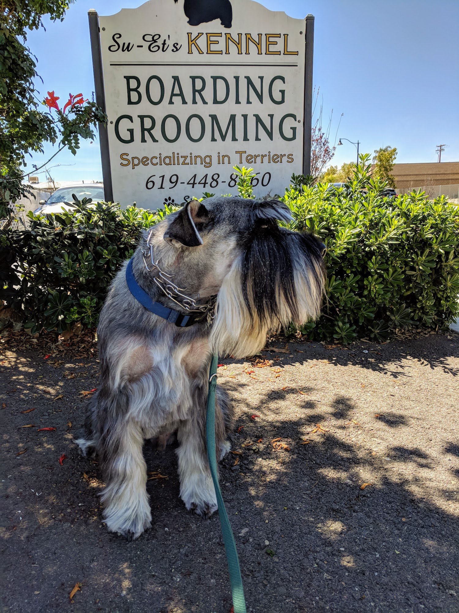 Su-Ets Kennels Santee