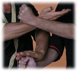 Academy of WingChun Santa Cruz