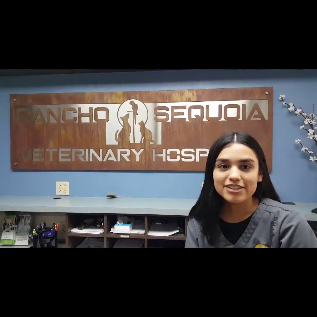 Rancho Sequoia Veterinary Hospital