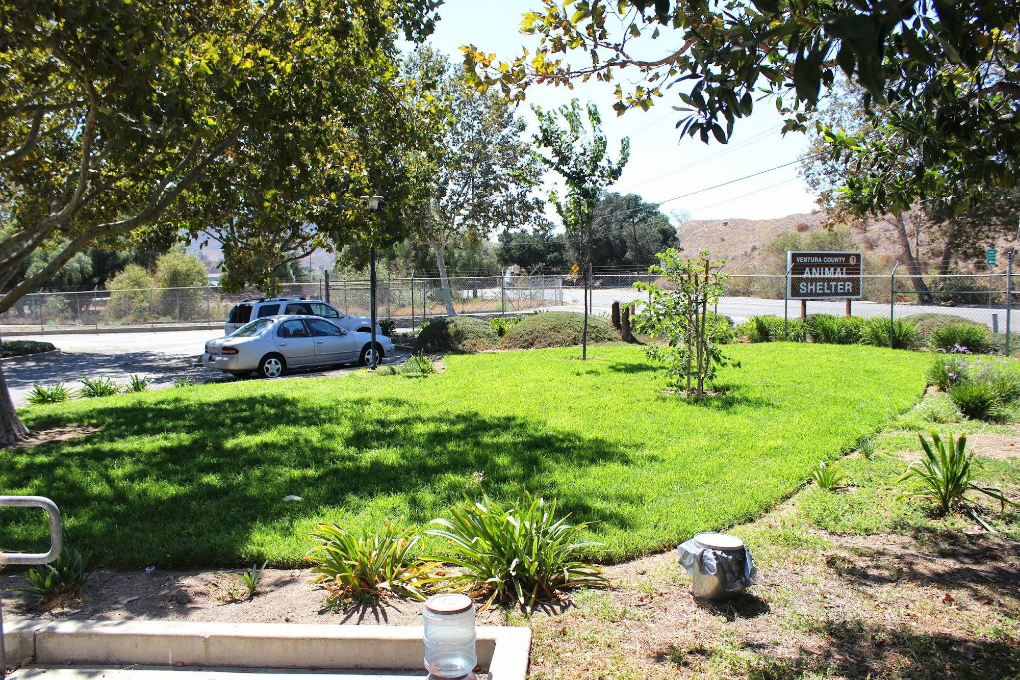 Simi Valley Animal Shelter Simi Valley