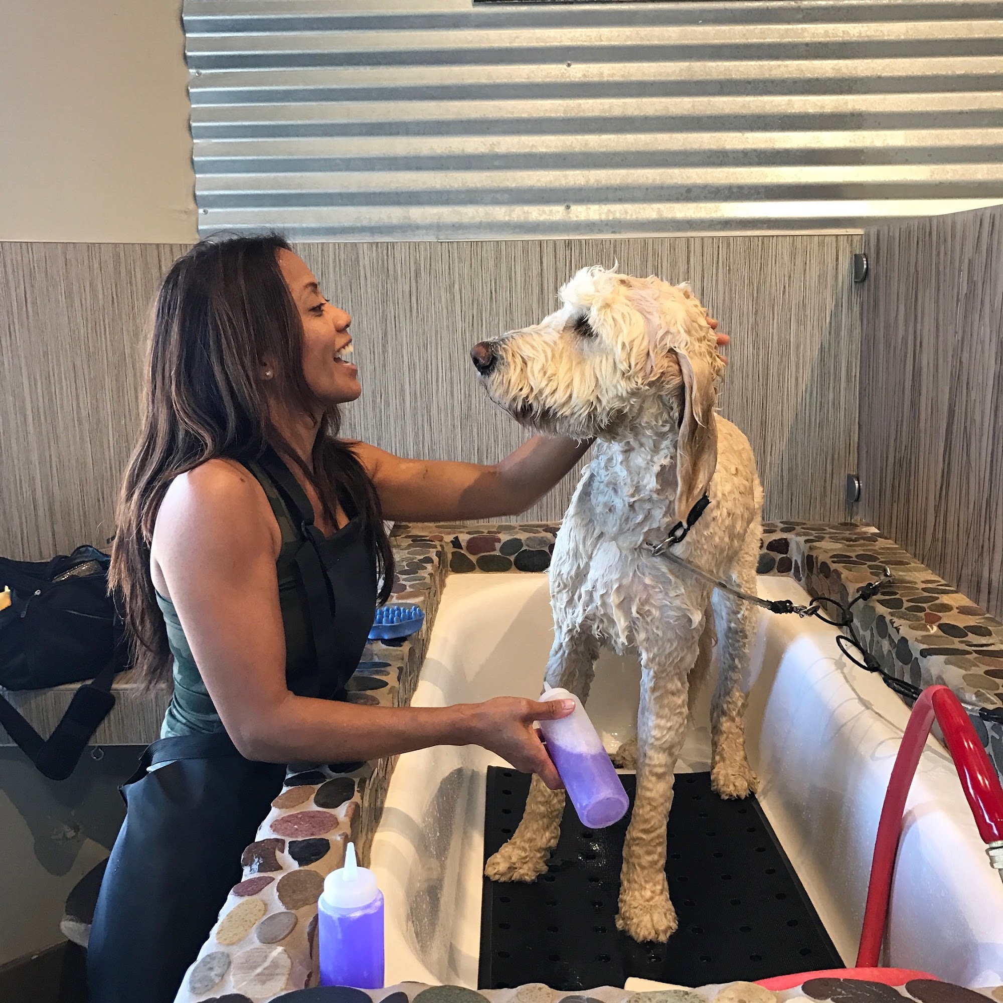 Dirty Dogs and Meow Solana Beach