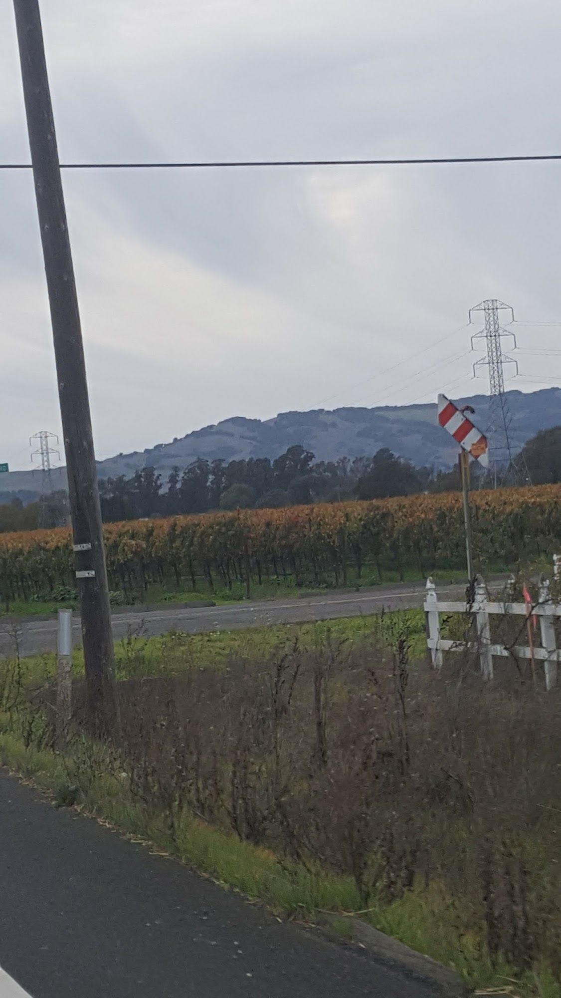 Happy Pets Inn Sonoma